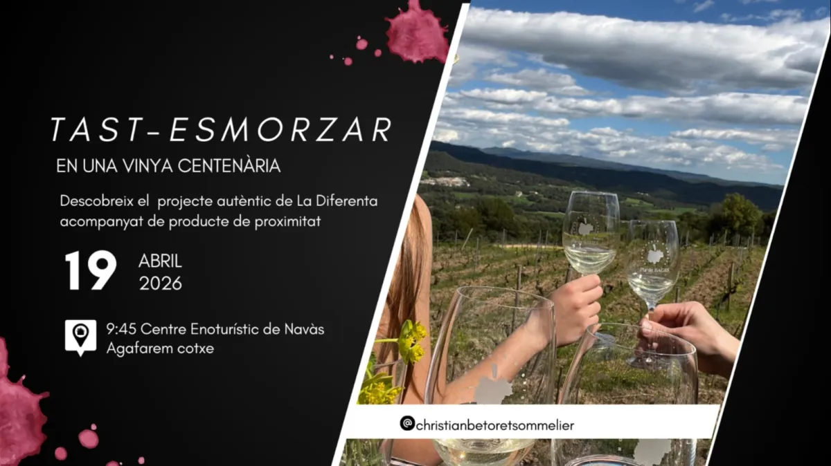 ESMORZAR EN UNA VINYA CENTENÀRIA