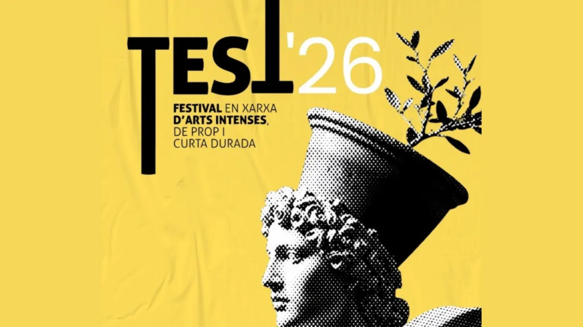 FESTIVAL TEST