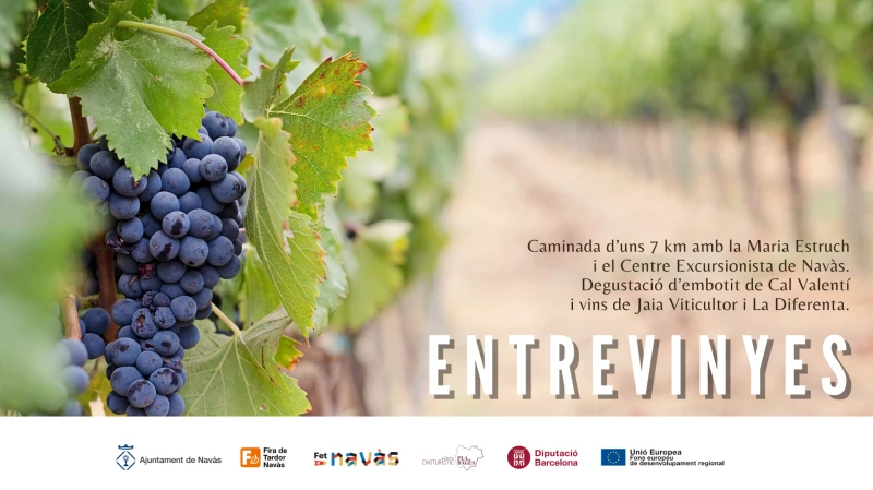 CAMINADA ENTREVINYES